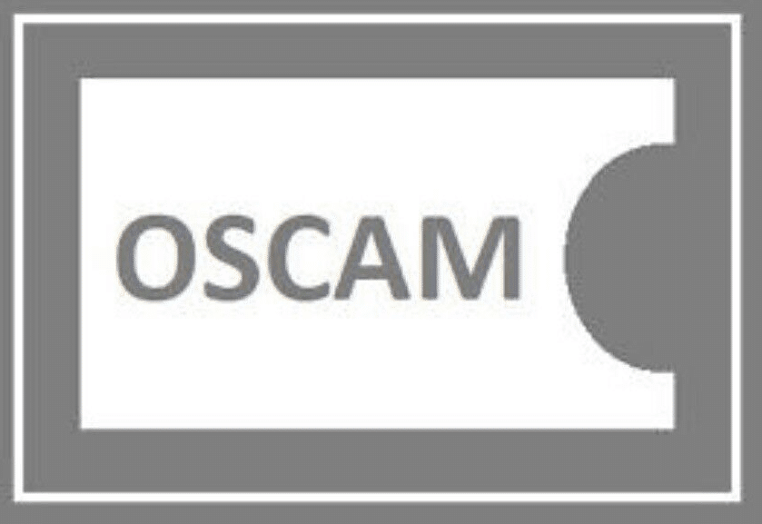 Oscam Emu Icam Best Config