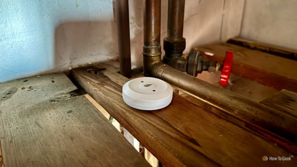 I thought this smart home sensor was a gimmick, but now it's the most important device in my home
