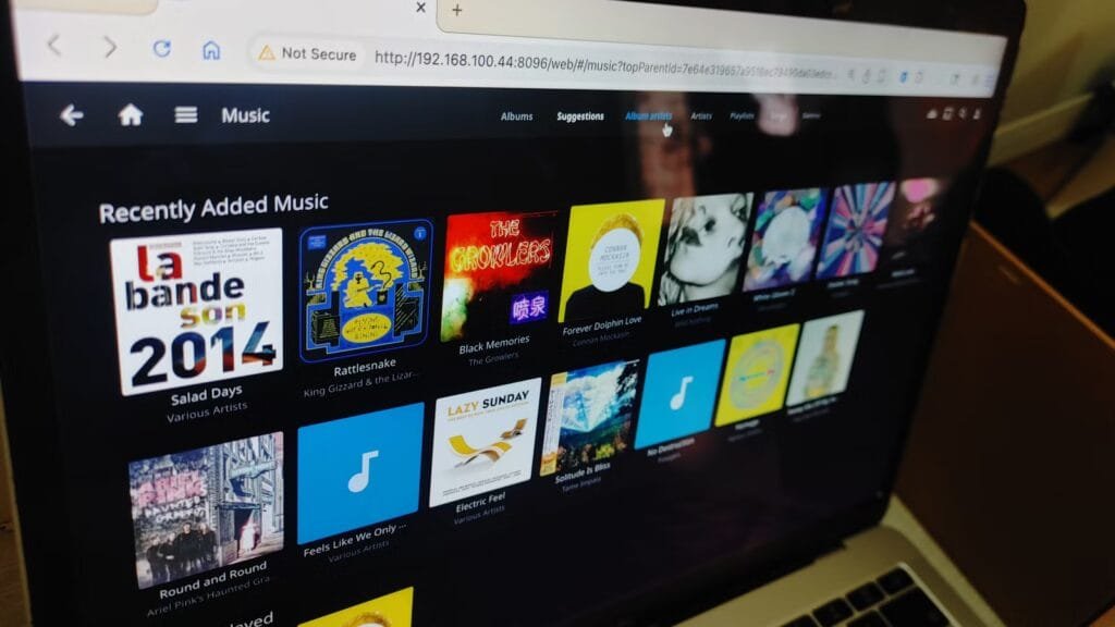 Tagging music for Jellyfin was a headache until I found this free open-source app